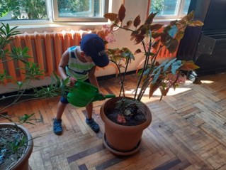 68961237_2336891376398451_1241531846768984064_n